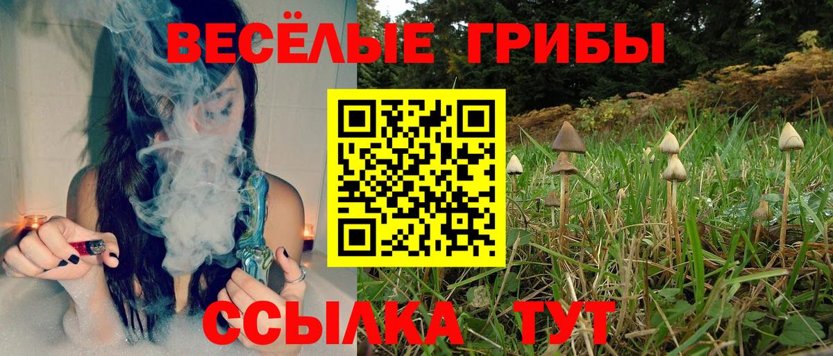 Саратов  Псилоцибиновые грибы Magic Shrooms  Вход с VPN 
